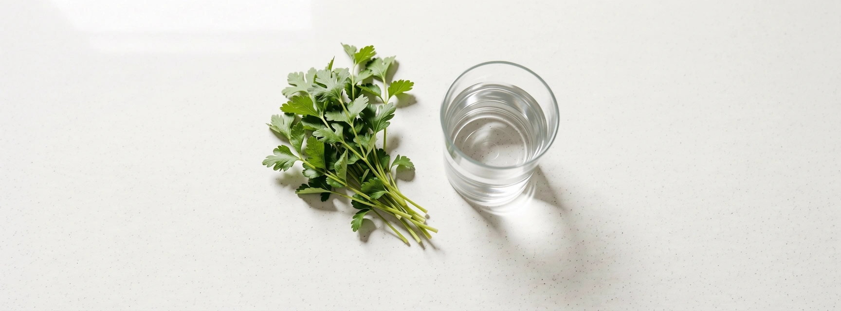 Clean lifestyle environment